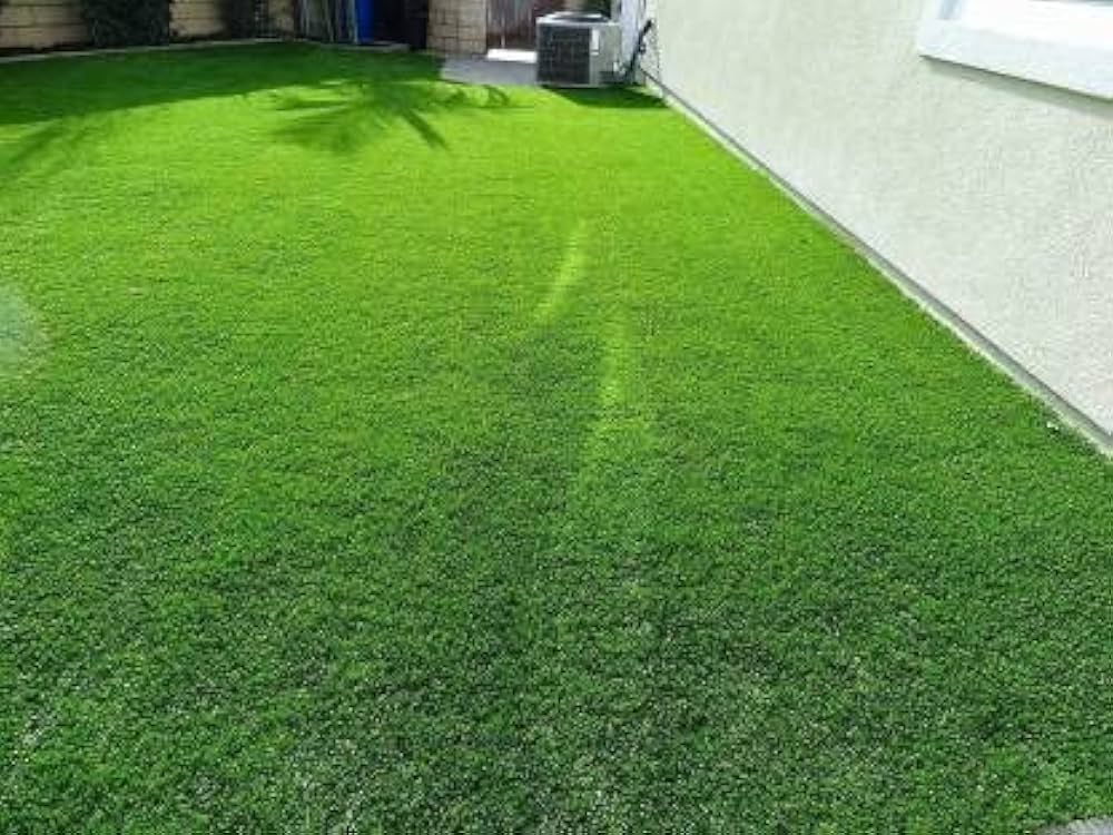 Natural Lawn Grass in Rohini Natural Lawn Grass in Dwarka Natural Lawn Grass in Chattarpur Natural Lawn Grass in Hauz Khas Natural Lawn Grass in Panchsheel Park Natural Lawn Grass in Greater Kailash Natural Lawn Grass in Vasant Kunj Natural Lawn Grass in Faridabad Natural Lawn Grass in Gurugram Natural Lawn Grass in Noida Natural Lawn Grass in Delhi