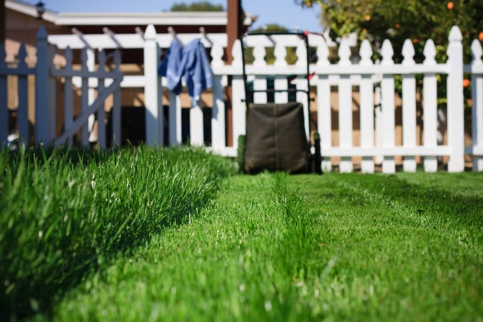 Natural Lawn Grass in Rohini Natural Lawn Grass in Dwarka Natural Lawn Grass in Chattarpur Natural Lawn Grass in Paschim Vihar Natural Lawn Grass in Janakpuri Natural Lawn Grass in Punjabi Bagh Natural Lawn Grass in Defence Colony Natural Lawn Grass in Hauz Khas Natural Lawn Grass in Panchsheel Park Natural Lawn Grass in Gurugram Natural Lawn Grass in Noida Natural Lawn Grass in Ghaziabad Garden Care Service Natural Lawn Grass in Delhi