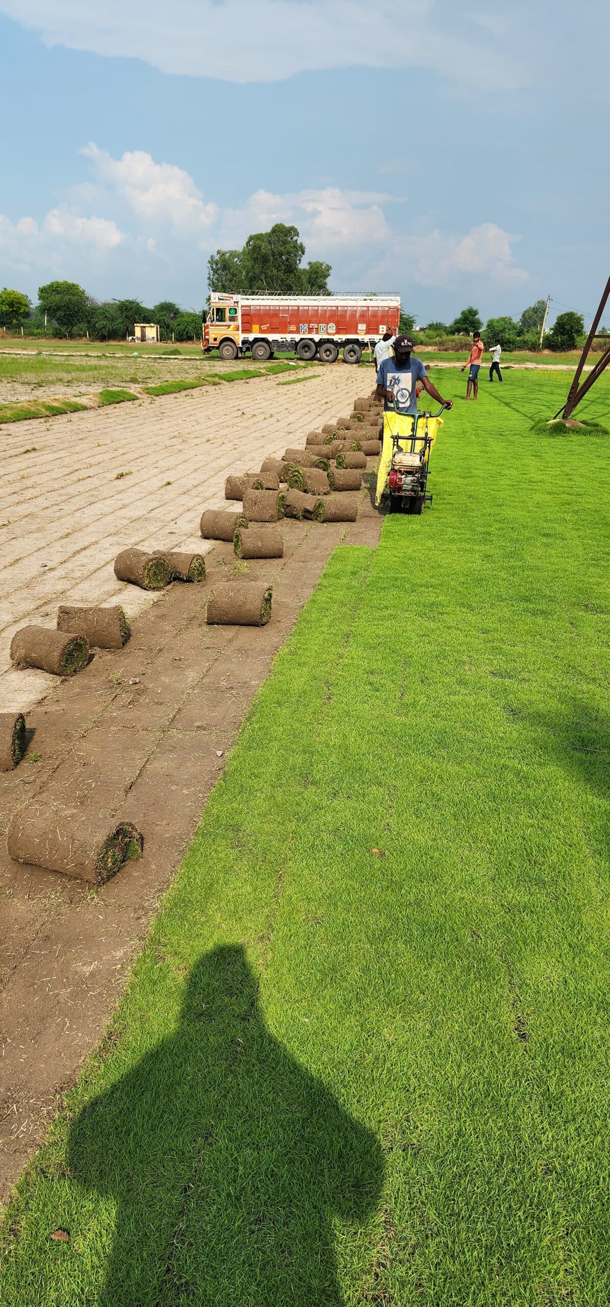 Natural Lawn Grass in Gurugram