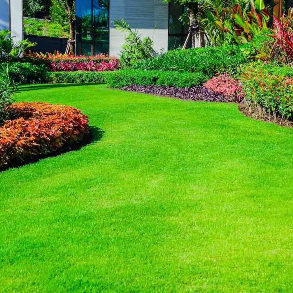 Front yard, landscape design With multicolored shrubs intersecting with bright green lawns Behind the house is a modern, garden care service, green grass with a beautiful yard for the background.